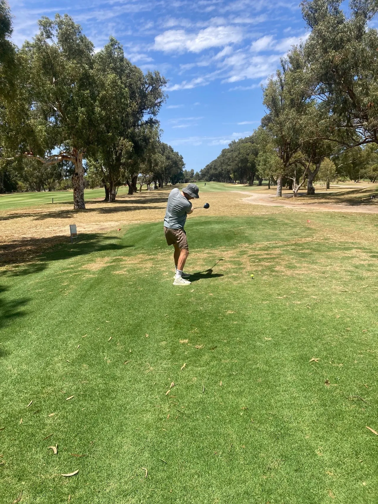 Een golfpartijtje tussen de bomen