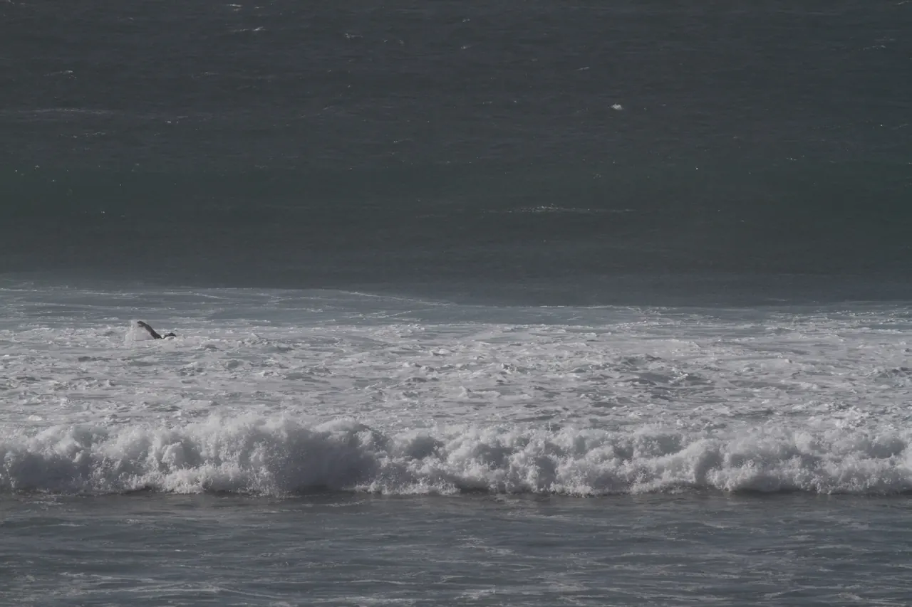Witte schuimkoppen op de swell